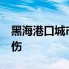 黑海港口城市塞瓦斯托波尔遭袭 已致14人受伤