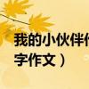我的小伙伴作文500字作文（我的小伙伴500字作文）