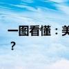 一图看懂：美股市场上电动汽车股跌得有多惨？