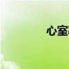 心室率是心率吗（心室率）