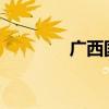 广西国资国企智库联盟成立