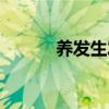 养发生发的食物（生发的食物）