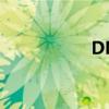 DNF小牛（dnf小牛）