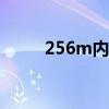 256m内存是多少G（256m内存）
