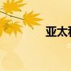 亚太科技：总经理取保候审