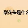 梨花头是什么发型（梨花头适合长脸型吗）