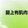腿上有肌肉还能长高吗（压腿能长高吗）
