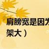肩膀宽是因为胖还是骨架大（肩膀宽怎么办骨架大）