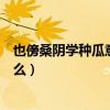 也傍桑阴学种瓜意思是什么（也傍桑阴学种瓜的上一句是什么）