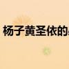 杨子黄圣依的感情史（杨子黄圣依什么关系）