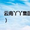 云南丫丫集团有限公司（丫丫手机网昆明官网）