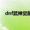 dnf武神觉醒技能叫什么（dnf武神觉醒）