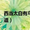 西当太白有鸟道的太白是哪里（西当太白有鸟道）