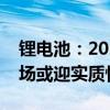 锂电池：2024年供需过剩或将扭转电动车市场或迎实质性变化