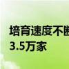 培育速度不断加快 我国专精特新中小企业超13.5万家