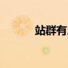 站群有用吗（站群项目怎么做）