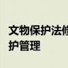 文物保护法修订草案二审稿进一步加强文物保护管理