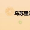 乌苏里江发生2024年第1号洪水