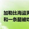 加勒比海盗男演员遭鲨鱼攻击身亡：一条手臂和一条腿被吃掉