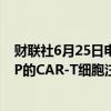 财联社6月25日电，石药集团公告称，首款基于mRNA-LNP的CAR-T细胞注射液(SYS6020) 获临床试验批准。