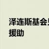 泽连斯基会见德国联邦参议院议长 讨论对乌援助
