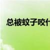 总被蚊子咬什么原因（总被蚊子咬怎么办）