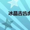 冰晶古齿虎什么性格好（冰晶古齿虎）