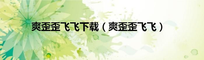 爽歪歪飞飞下载（爽歪歪飞飞）