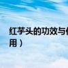 红芋头的功效与作用 糖尿病人能吃吗?（红芋头的功效与作用）