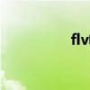 flv电影下载（flv电影）