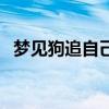 梦见狗追自己咬但没咬到（梦见狗追自己）