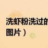 洗虾粉洗过的龙虾能吃吗（龙虾洗干净的步骤图片）