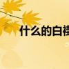 什么的白褂填动词（什么的白褂填空）