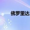 佛罗里达黑狼性格（佛罗里达黑狼）