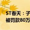 ST春天：子公司北京听花贸易有限责任公司被罚款80万元