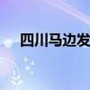 四川马边发现一巨型乌木 万年不腐不烂