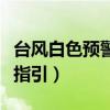 台风白色预警是什么概念（台风白色预警信号指引）