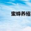 蜜蜂养殖实用技术（蜜蜂养殖工具）
