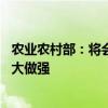 农业农村部：将会同有关部门强化政策支持 支持涉农企业做大做强