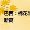 巴西：棉花出口需求持续强劲 6月或再创历史新高