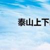 泰山上下山（泰山上人不在打一字）