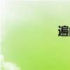 遍的组词（变的组词）