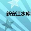 新安江水库将再次加大至5孔泄洪闸泄洪