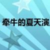 牵牛的夏天演员表大全（牵牛的夏天大结局）