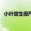 小叶增生很严重吗（小叶增生有什么危害）
