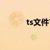 ts文件?（tslog是什么文件夹）