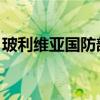 玻利维亚国防部宣布军队局势已得到完全控制