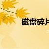 磁盘碎片指的是什么（磁盘碎片）