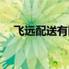 飞远配送有限公司（飞远快递单号查询）