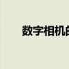 数字相机的lcd如有回放（数字相机）